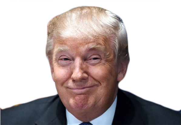 Battle Donald J - Trump: His Plan In His Own Words (620x412), Png Download