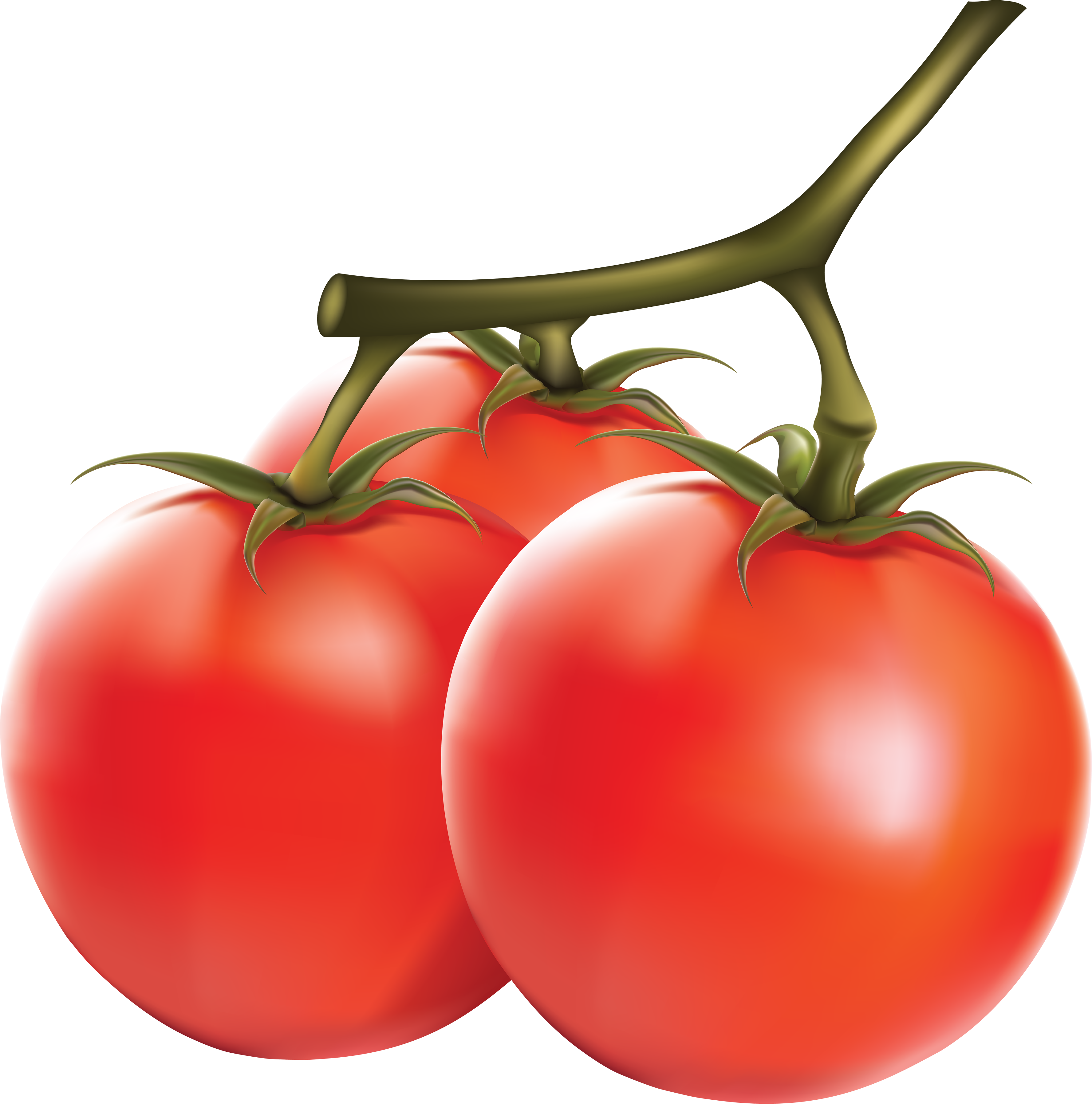 Tomato Png (3553x3592), Png Download