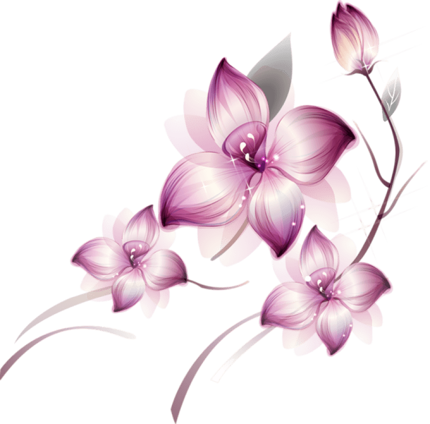 Violet Lotus Flower - Pink Purple Flowers Png (600x591), Png Download
