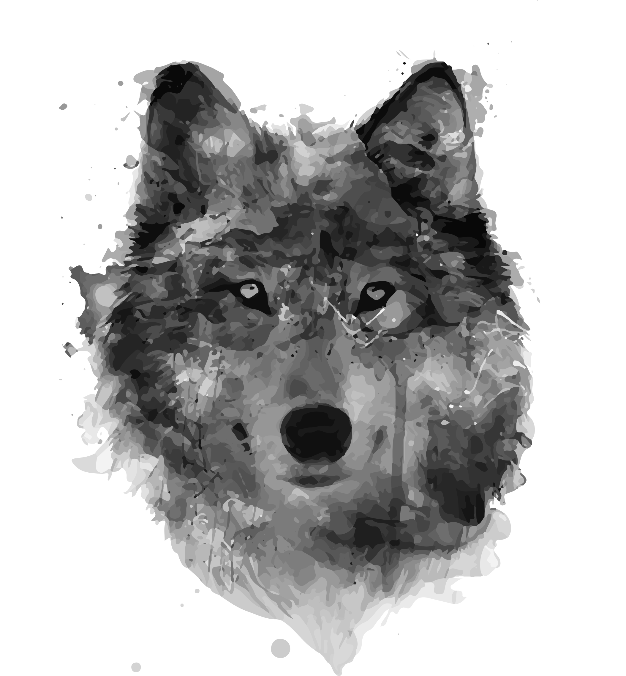 Google Search Watercolor Wolf, Watercolor Paintings, - Wolf Painting (2108x2274), Png Download