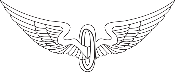 Small - Eagle Wings Logo White (600x248), Png Download