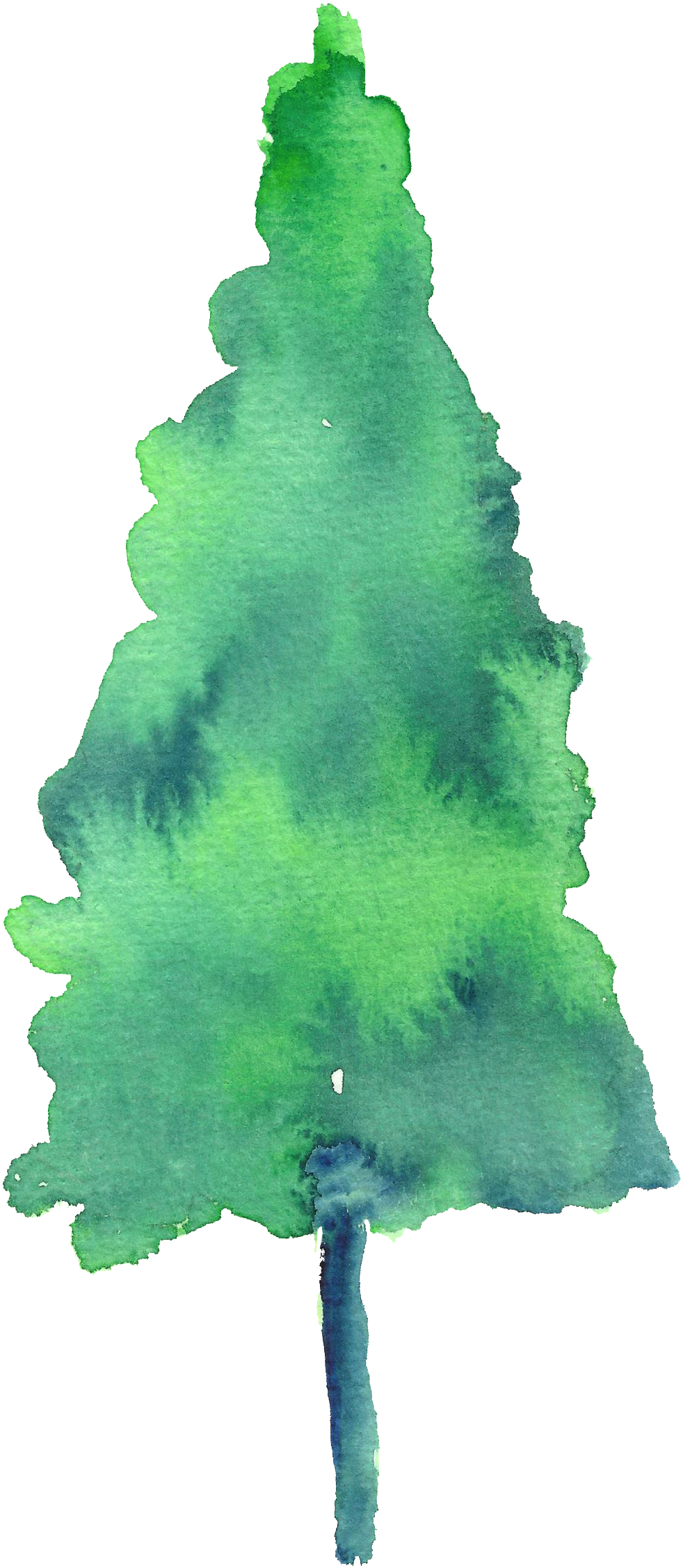 Painted Watercolor Pine Tree Decoration Vector - Watercolor Painting (1024x2309), Png Download