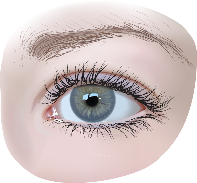 Eyes Png (752x699), Png Download