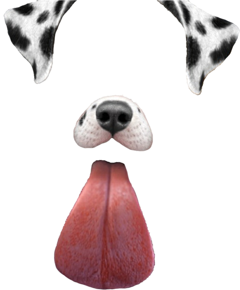 Snapchat Filters Clipart Clipartlook - Filtros De Snapchat Png (856x1024), Png Download