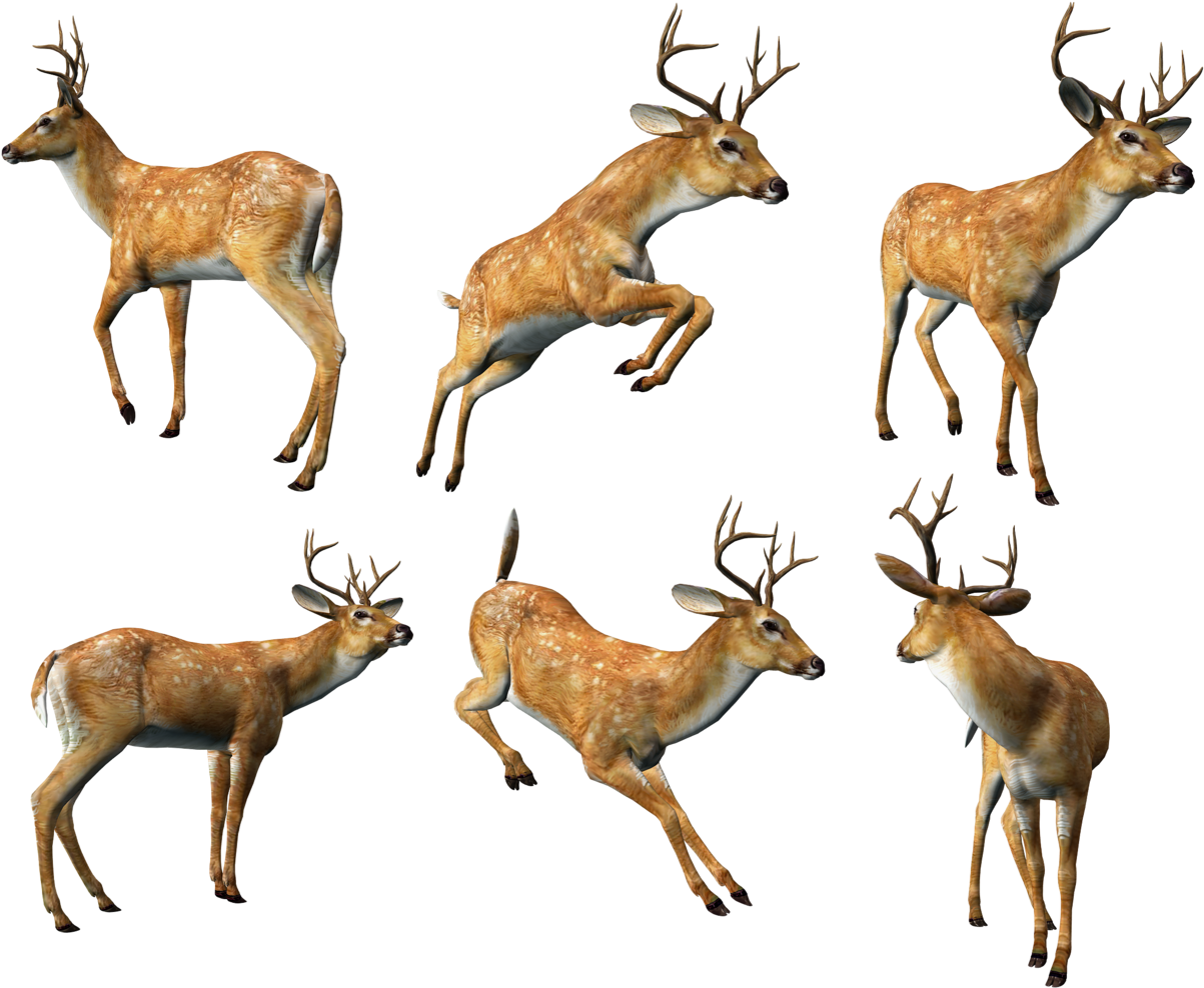 3d Animal Png (1226x998), Png Download