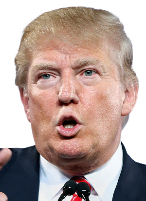 Trump On The Department Of Education - Donald Trump Face Shape (300x412), Png Download