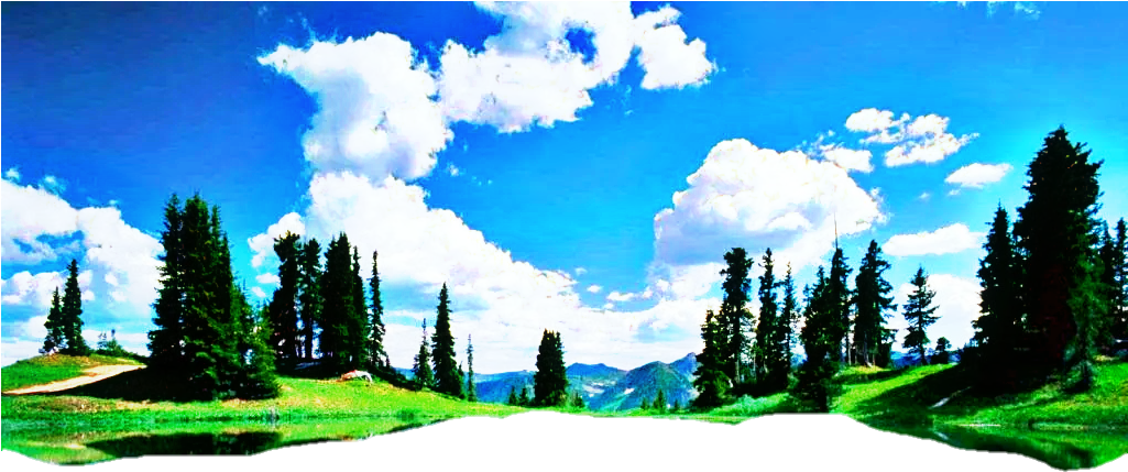 Report Abuse - Framed Poster Prints - Forest Landscape And Its Reflection, (1024x654), Png Download
