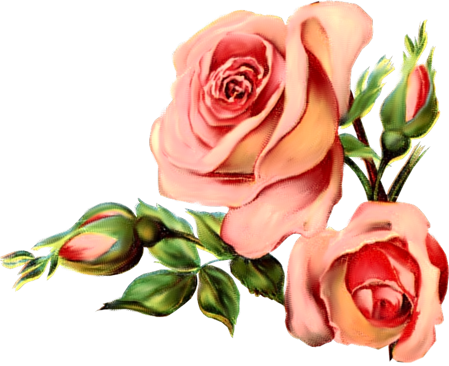 Wordpress Logo Clipart Rose - Vintage Flower Graphic Png (890x725), Png Download