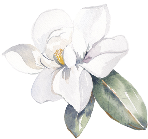Cami's Watercolor Talent Is Breathtaking It Has A Timeless, - Frangipani (600x600), Png Download