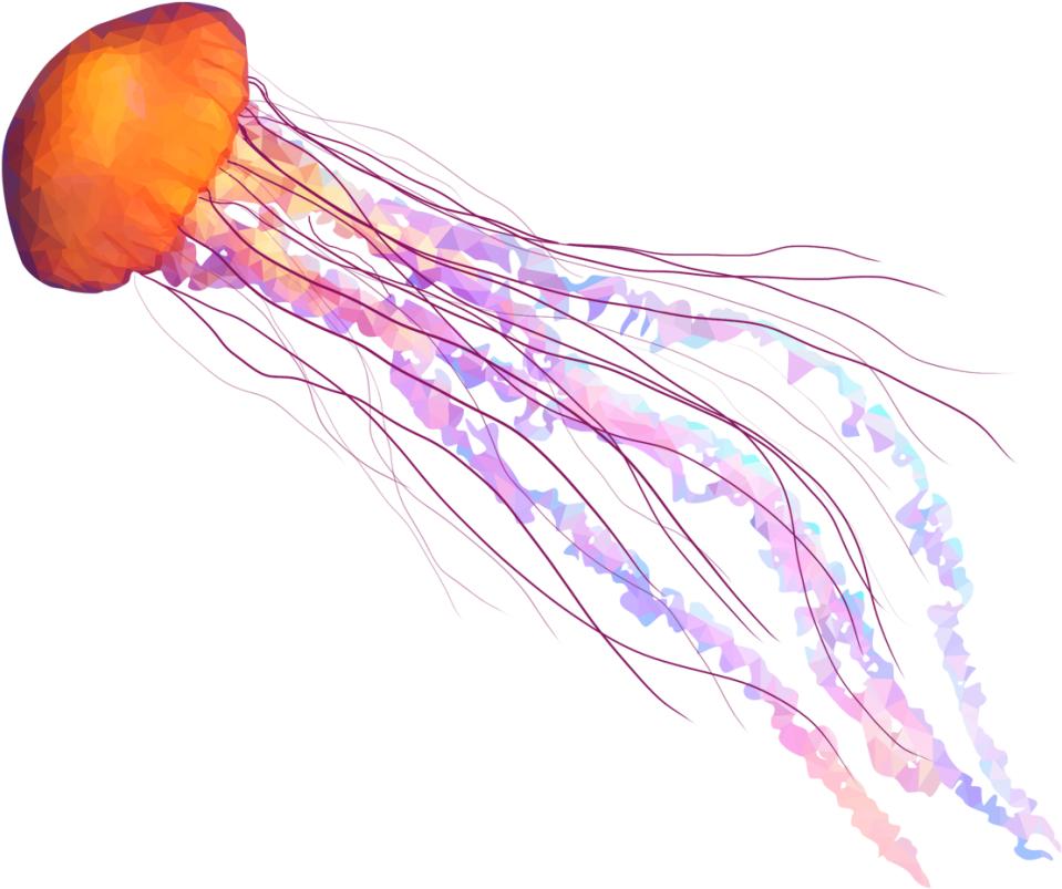 Jellyfish Png (1024x919), Png Download