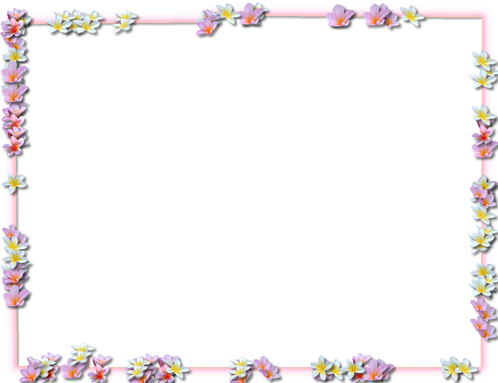Download Hd Flowers Border Png Png Flower Border Png Transparent Png Image Nicepng Com