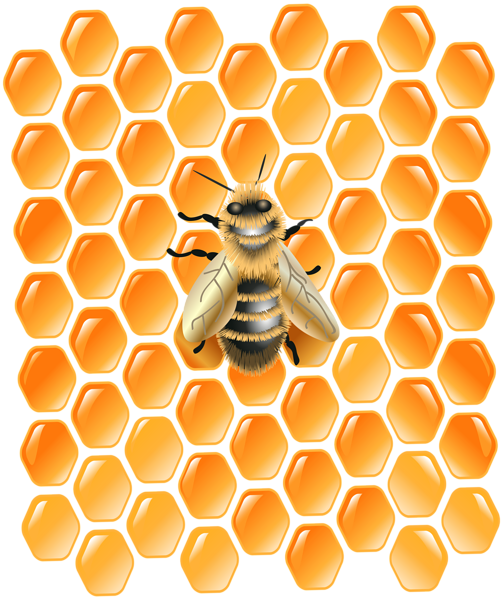 Honeycomb With Bee Png Clip Art Image - Honeycomb (503x600), Png Download