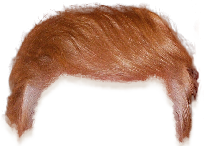 Trump Hair Cutout (679x483), Png Download