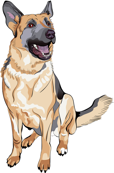 German Shepherd Royalty Free Stock Photography Clip - German Shepherd Dogs Vector (1000x875), Png Download