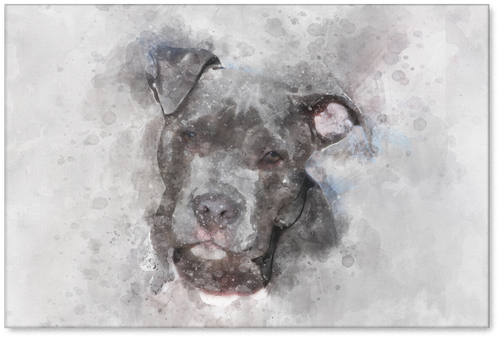 American Pitbull Watercolor On Canvas - American Pit Bull Terrier (1024x1024), Png Download