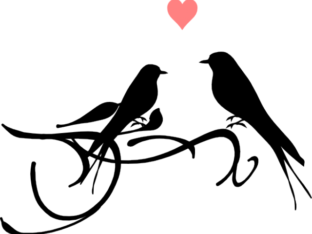 Dove Clipart Black And White - Love Birds Black And White (600x455), Png Download