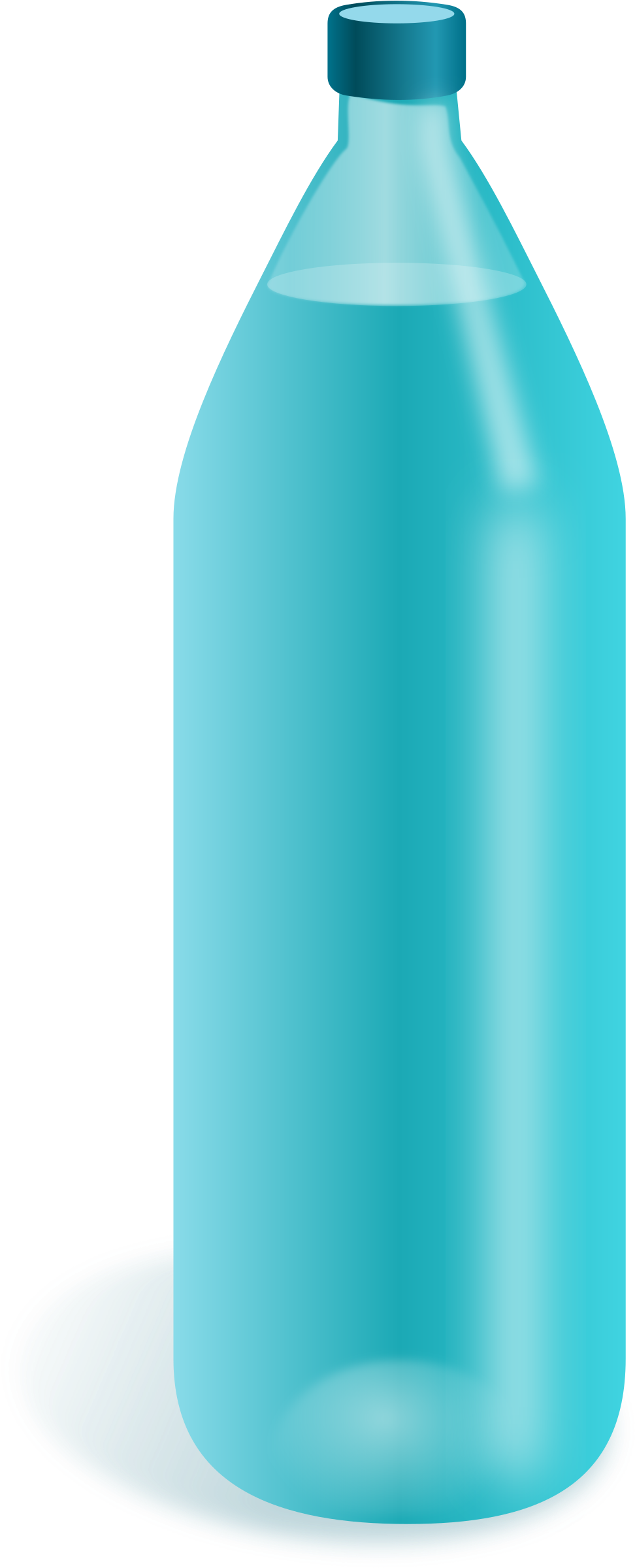 Water Bottle Transparent Png Pictures - Water Bottle Clipart Png (987x2400), Png Download