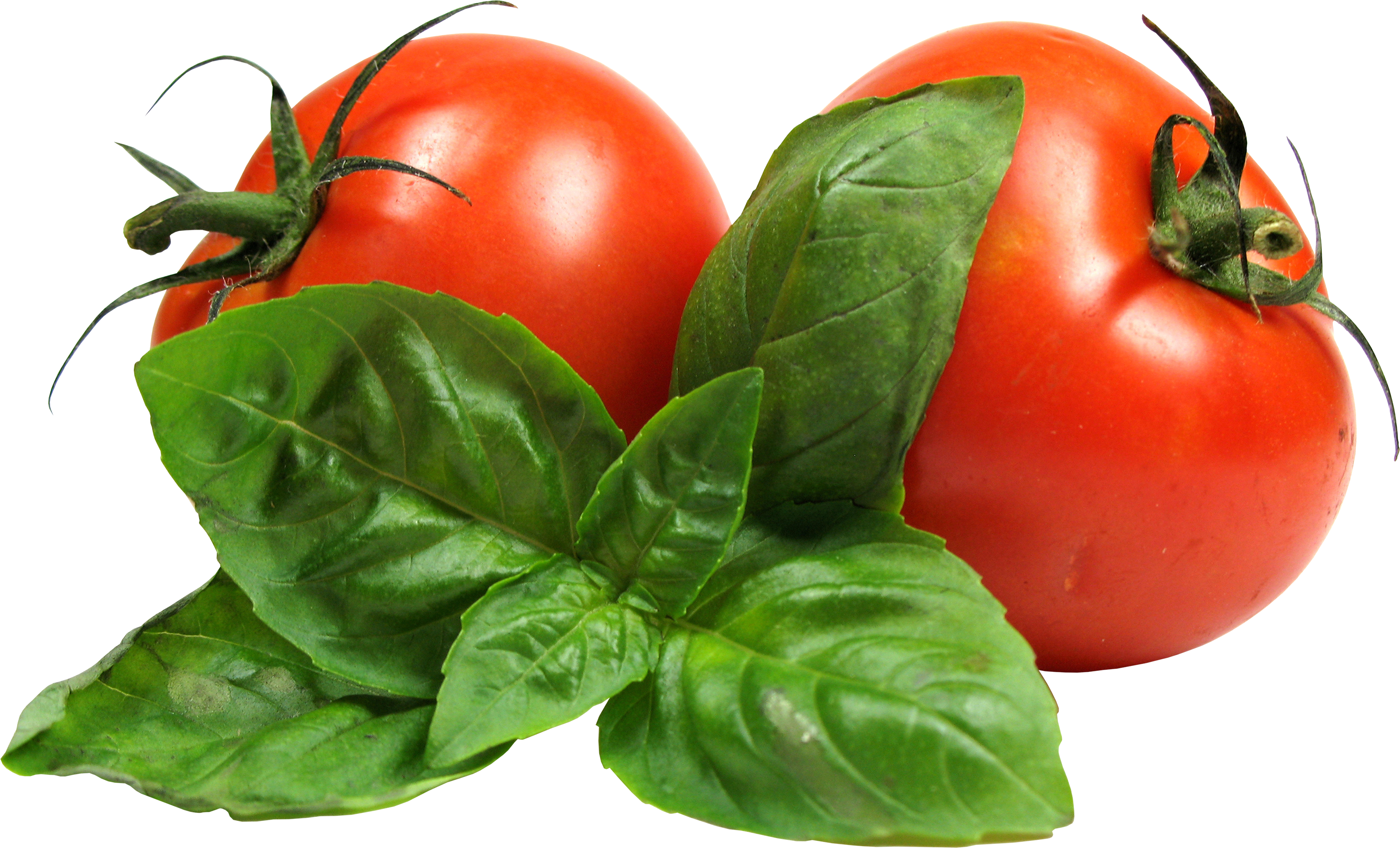 Tomato Png (3113x1887), Png Download