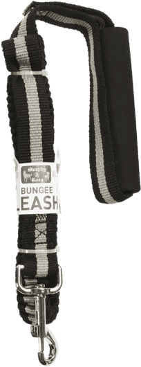 6′ Bungee Leash - Bungee Pupee Leash (655x655), Png Download