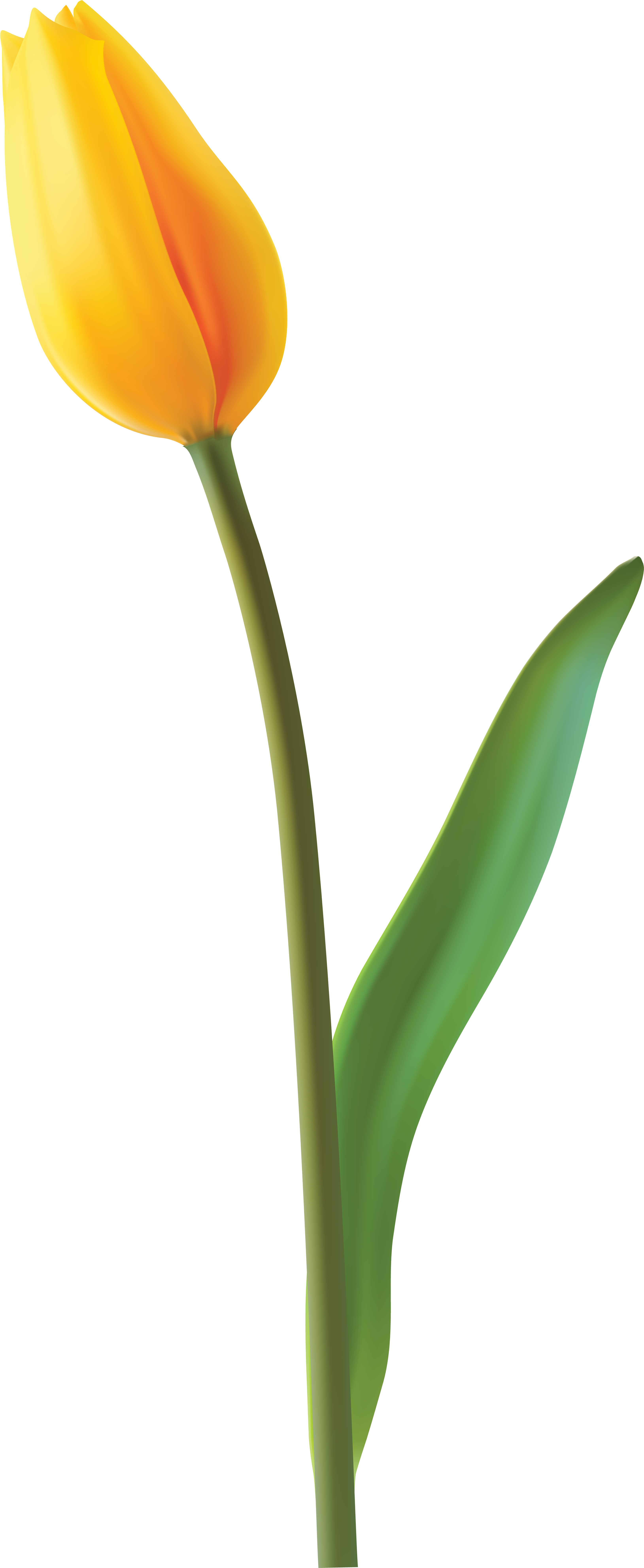 Clip Art (3354x8000), Png Download