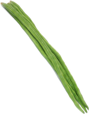 Drumstick - Drumstick Vegetable Png (500x500), Png Download