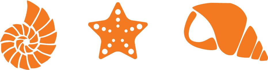 More Ticket Packages - Seashell Decal (1300x520), Png Download