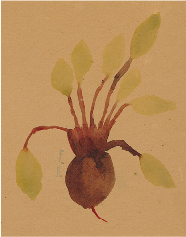 Beets - Beetroot (500x500), Png Download