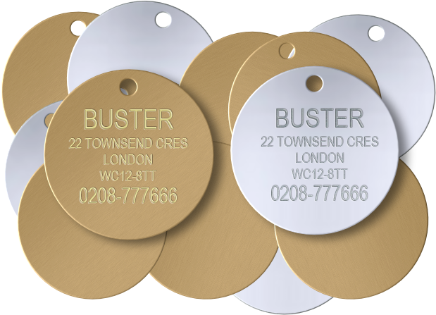 Dog Id Tags - Circle (640x480), Png Download
