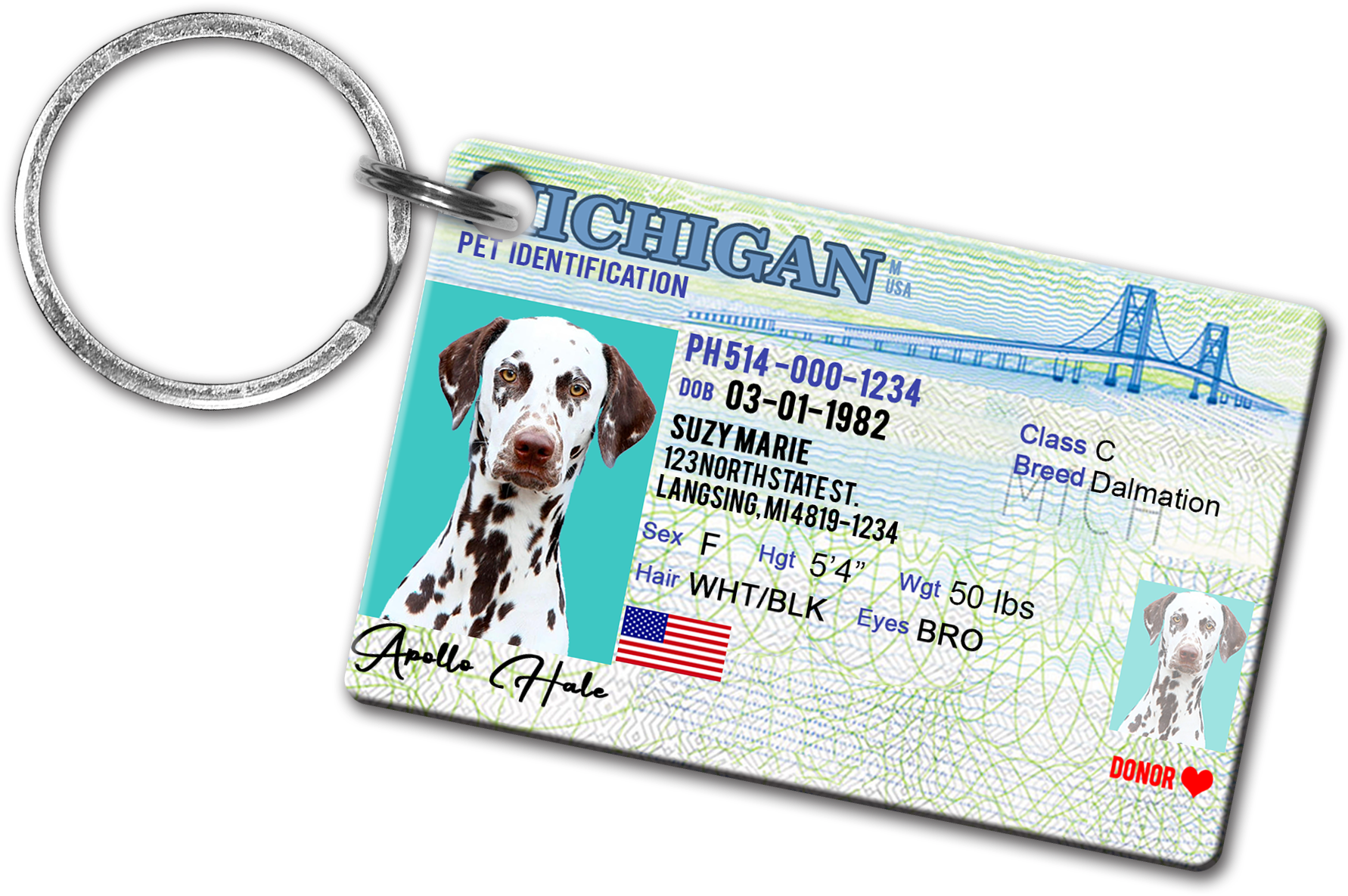 Michigan Pet Drivers License Id Tags - Michigan (2000x1600), Png Download