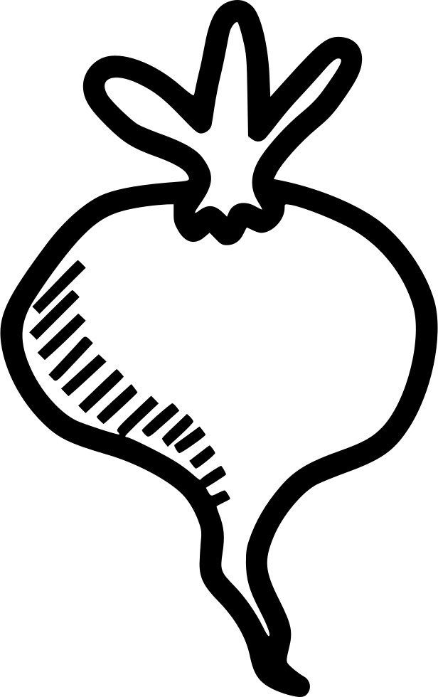 Beet Root Plant Spring Food Vegetable Comments - Vegetables Png Icon Drawing (616x980), Png Download