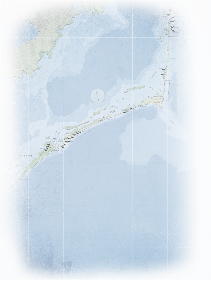 “preserving The Heritage Of The North Carolina Outer - Home (800x1062), Png Download