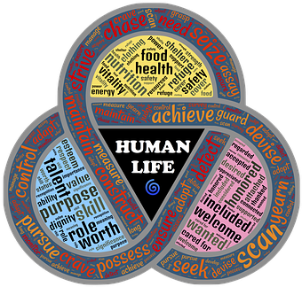 Nutshell Security Insecurity Operating Sys - Security (354x340), Png Download