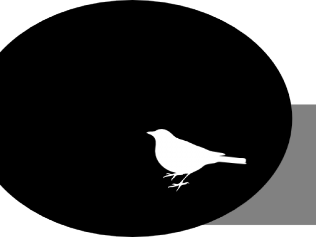 Crow Clipart White Background - Complices: Esta Vez, La Aventura De Leer (640x480), Png Download