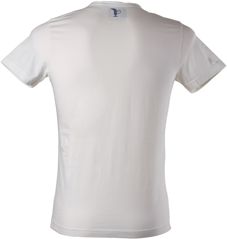 White T Shirt Png Image, Download Png Image With Transparent - White T Shirt Back Side Png (800x850), Png Download
