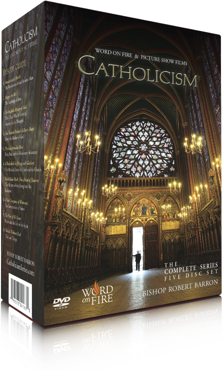 Products/shopify Catholicism Dvd - Catholicism Study Guide (800x800), Png Download