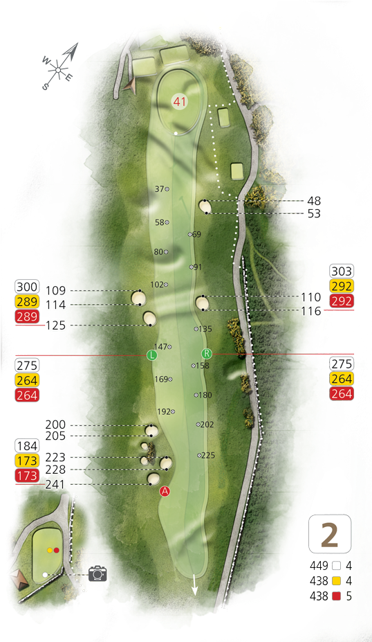 Hole2 - Manduca Sexta (595x926), Png Download