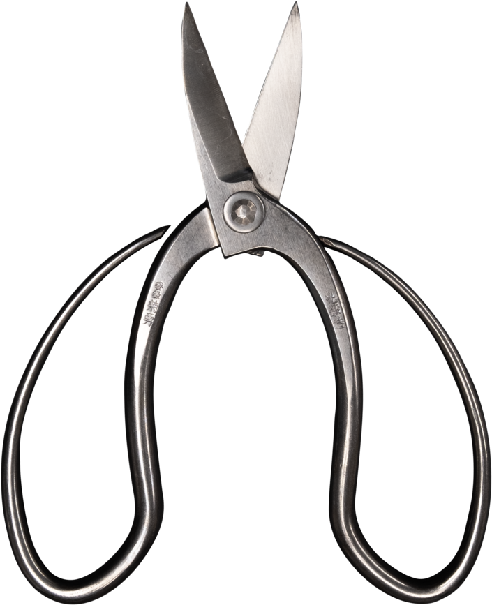 Morihei Kikuyu Stainless Bonsai Pruning Shears 180mm - Cutting Tool (991x1024), Png Download