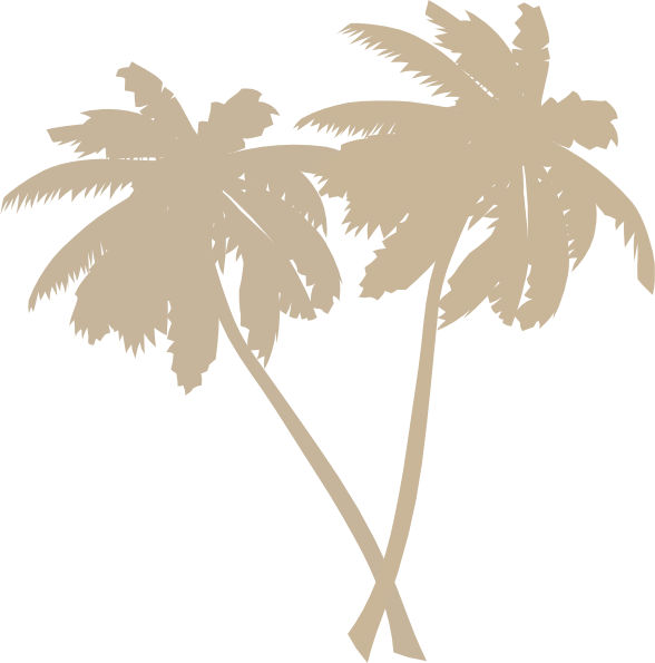 Coconut Tree Png Black (588x595), Png Download