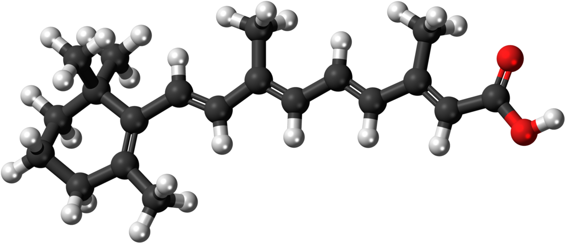 Beta Carotene Structure 3d (1200x547), Png Download
