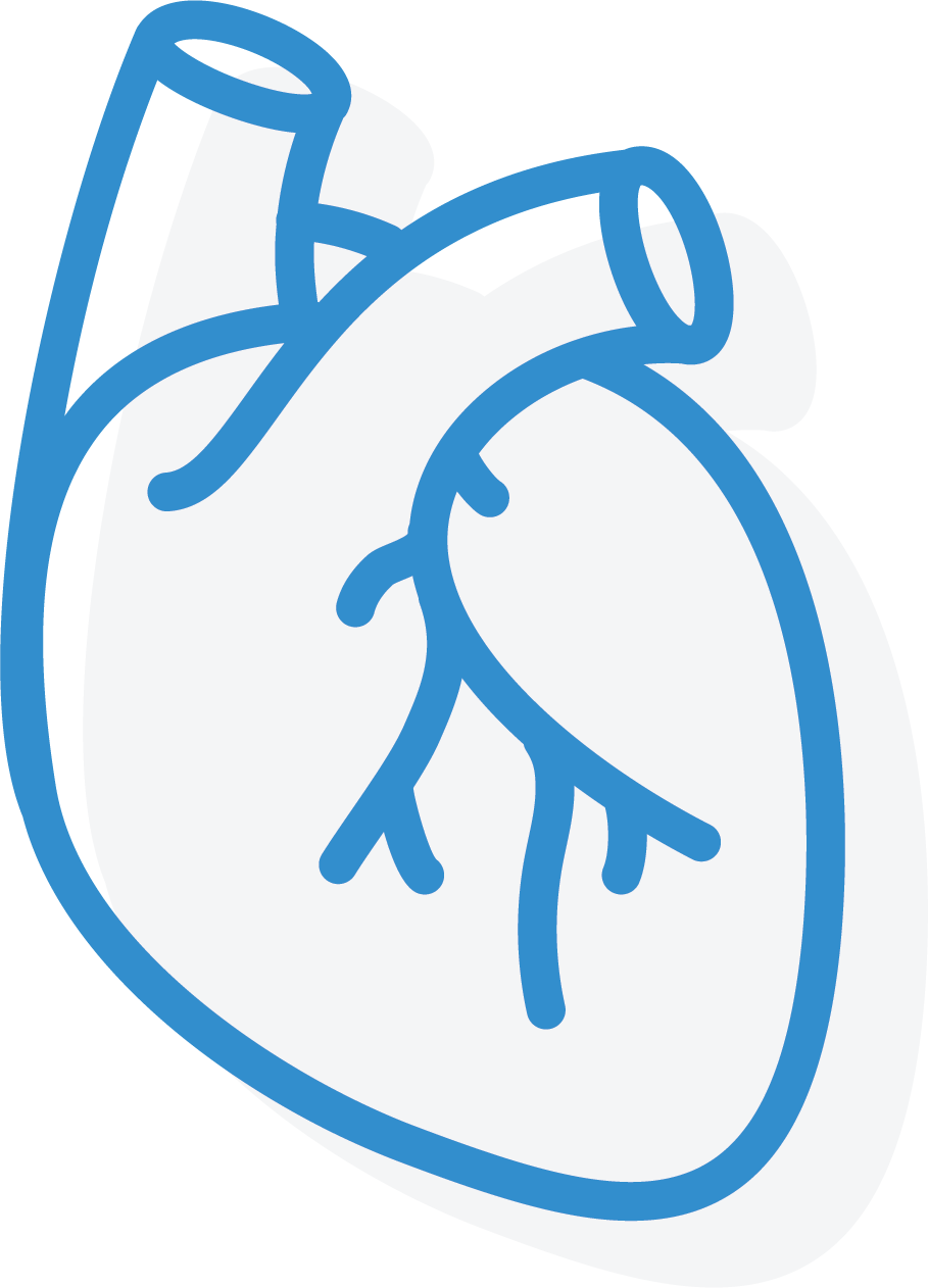 Cardiology Icon - Cardiology (909x1262), Png Download