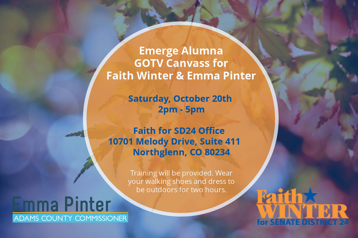Emerge Alumna Canvass For Faith Winter And Emma Pinter - Snow Leia Feind Des Peace Imperiums (1200x800), Png Download