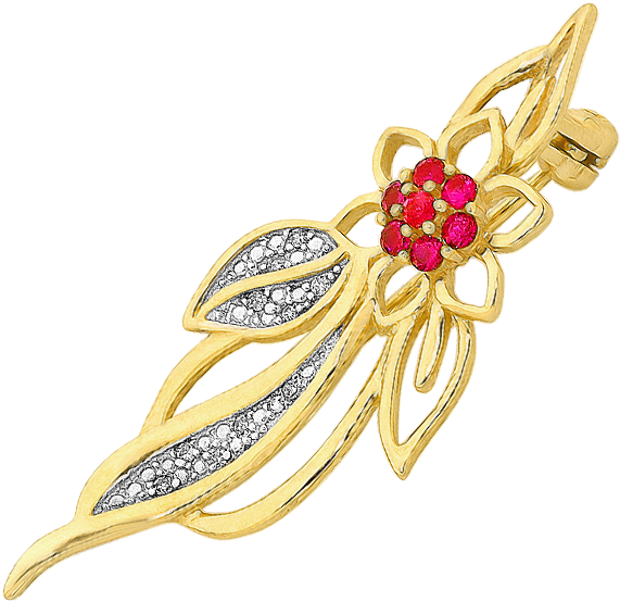 Jewellery (606x774), Png Download