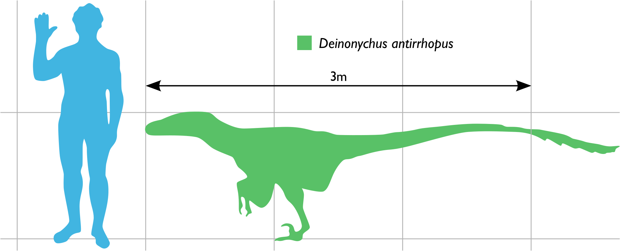 Open - Size (2000x812), Png Download