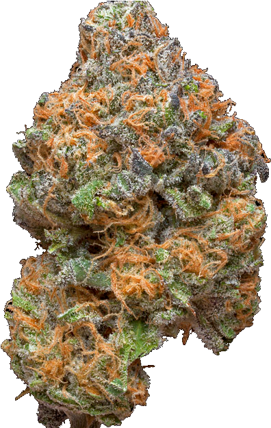 Tryna Smoke Weedslys - Weed Png (523x624), Png Download