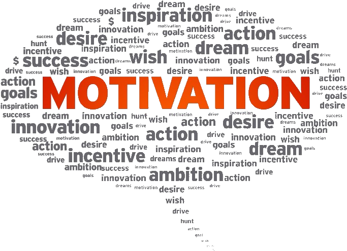 Tal Assa Personal Fitness Training Amsterdam Amstelveen - Mitarbeitermotivation Als Leistungsanreiz (1024x768), Png Download