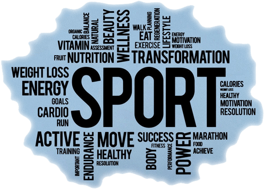 Motivation - Singlestopshop 2016 New Fitness Motivation Wall Sticker (573x435), Png Download