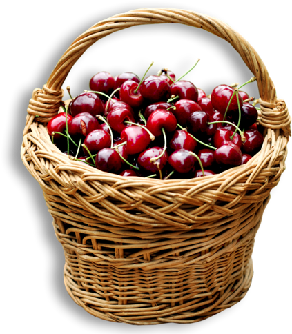 Cherry Clipart Basket - Kosár Meggy (451x500), Png Download
