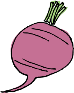 Beet (1000x1018), Png Download