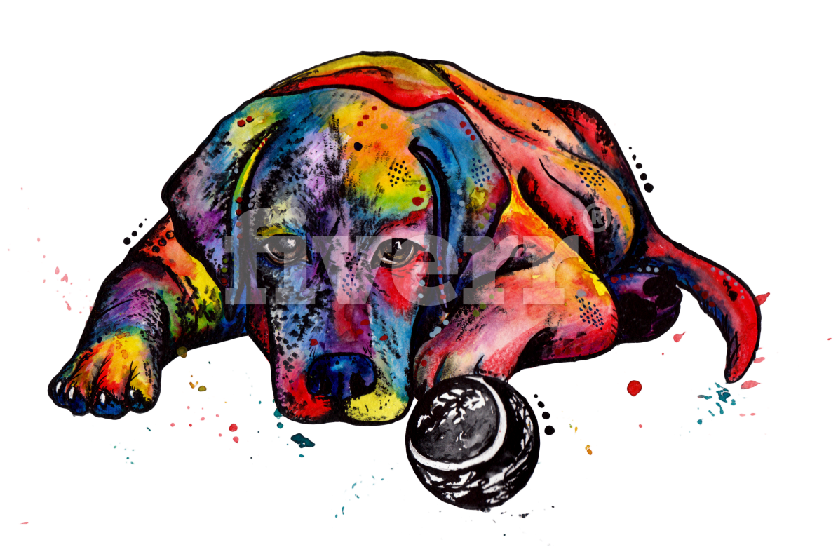 Illustration (1200x1200), Png Download