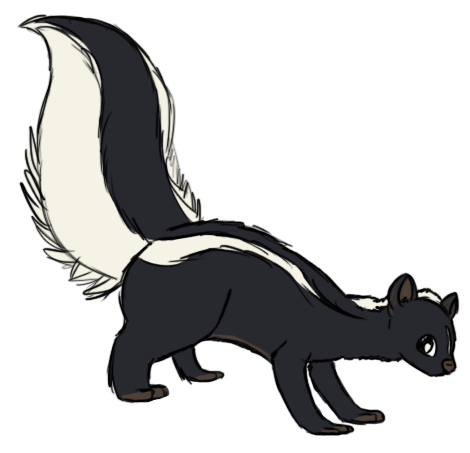 Skunk Transparent (502x466), Png Download